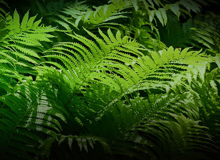 南宫NG28相信品牌的实力网址(中国游)官网